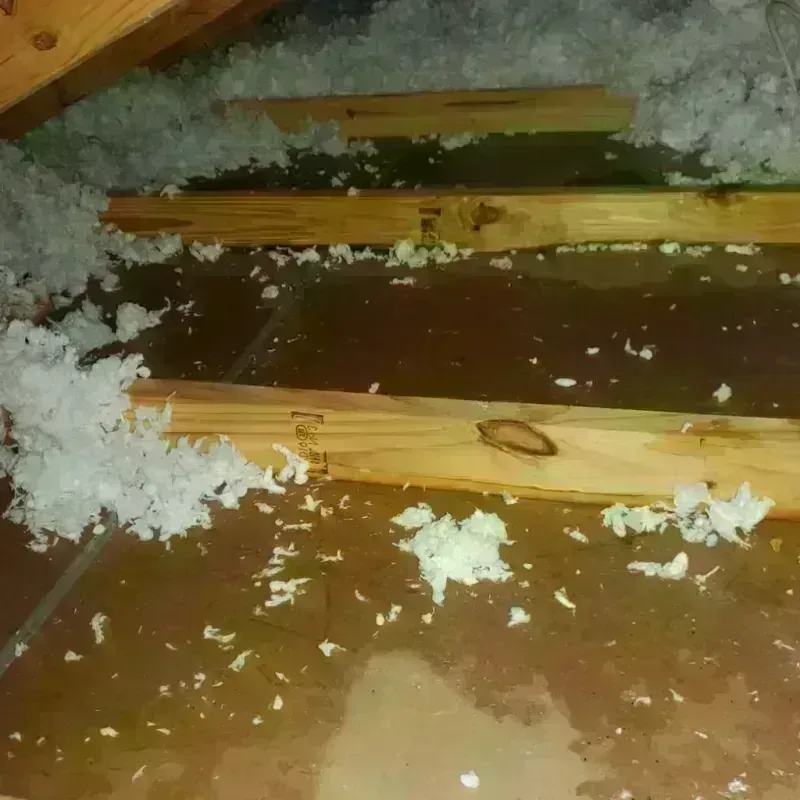 Attic Water Damage in Plainville, CT