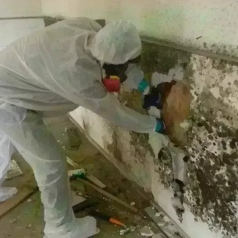 Mold Remediation and Removal in Plainville, CT